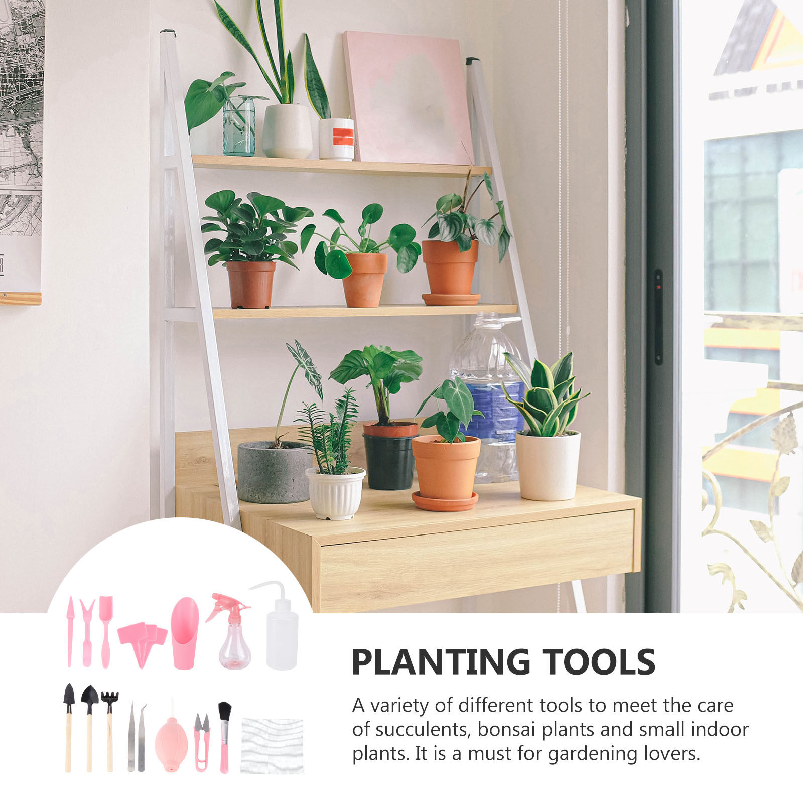 1Set Mini Succulent Planting T - Gardening Tools Set 评论和价格