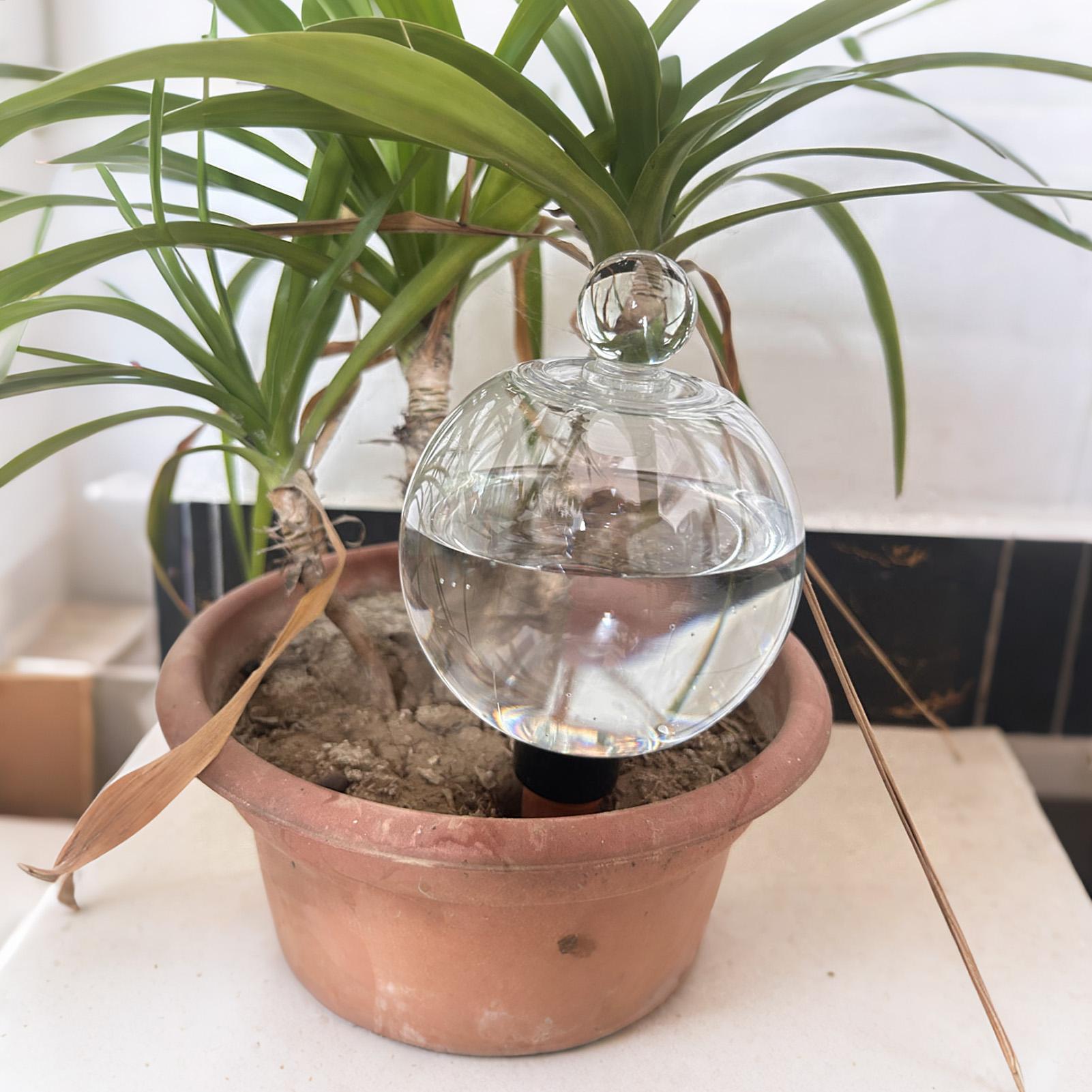 Plant Watering Bulbs 4pcs 500m - Drip Irrigation Kit 评论和价格