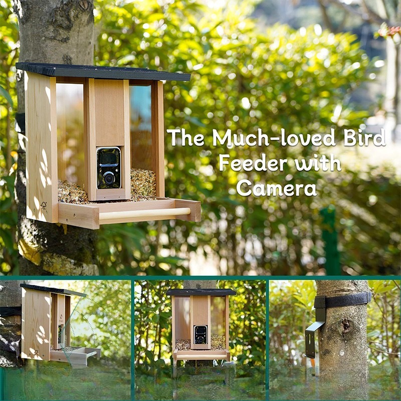 AI intelligent bird feeder wit - Gardening Tools Definition 评论和价格