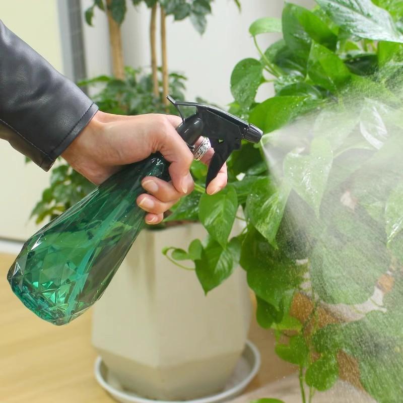 600Ml Handheld Mist Sprayer Bo - Gardening Tools For Beginners 评论和价格
