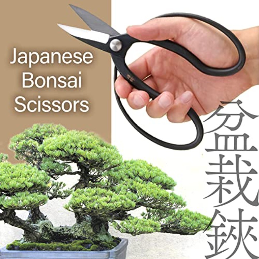 Japanese Suiryu Bonsai Scissor - Gardening Tools Made In Japan 评论和价格
