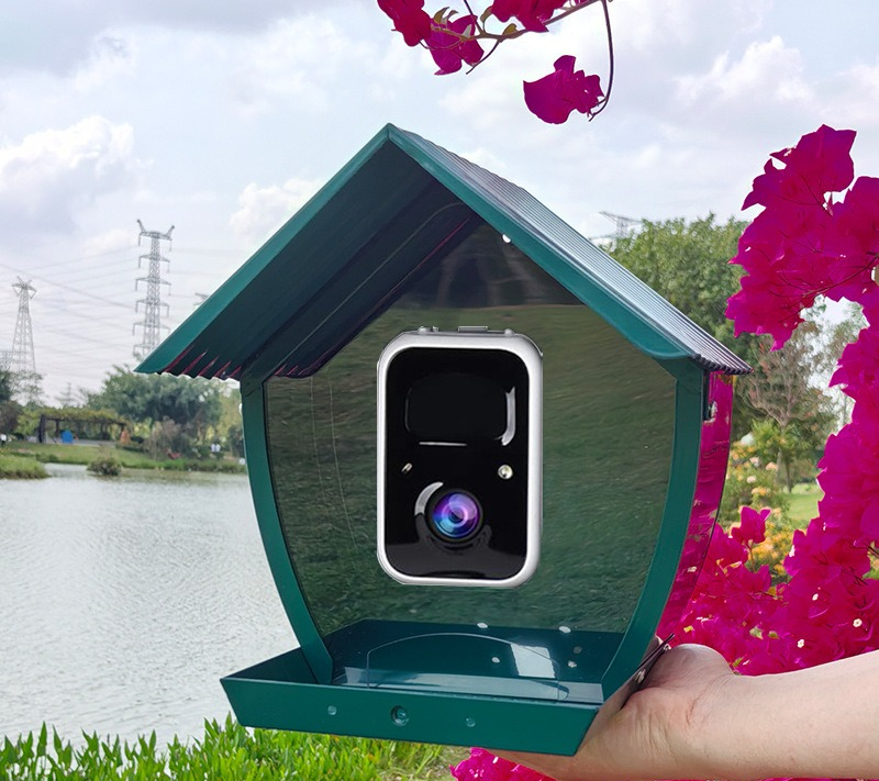 AI intelligent bird feeder wit - Gardening Tools Definition 评论和价格