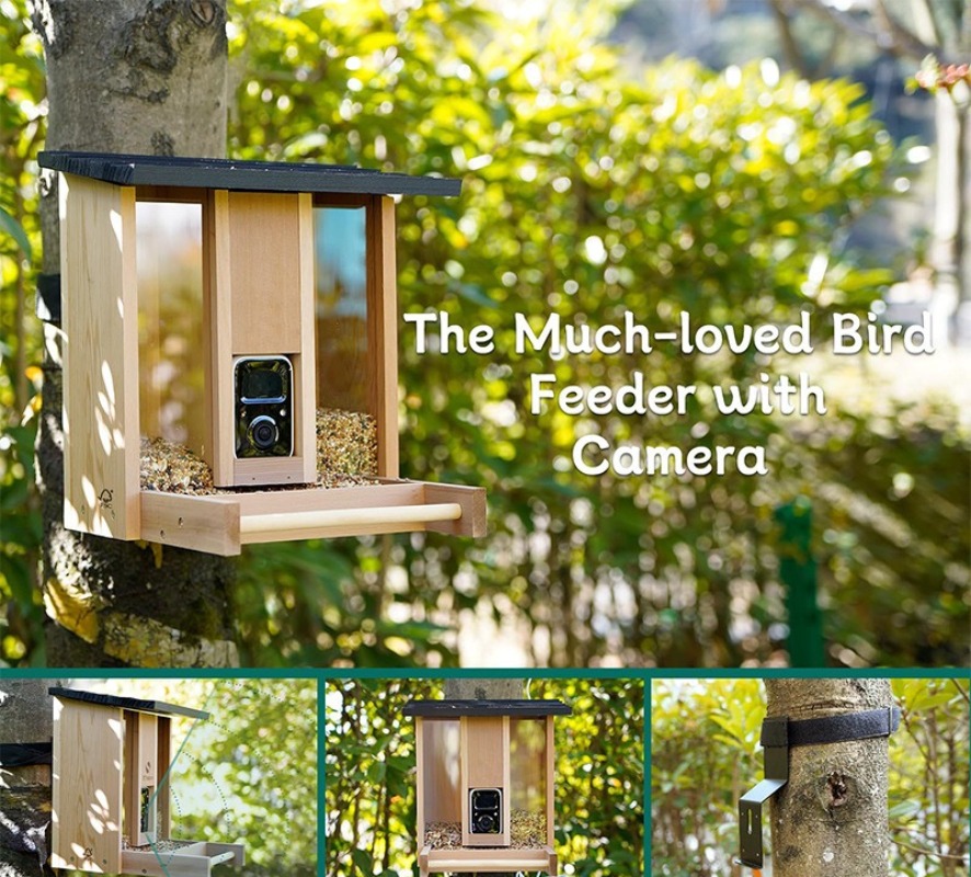 AI intelligent bird feeder wit - Gardening Tools Definition 评论和价格