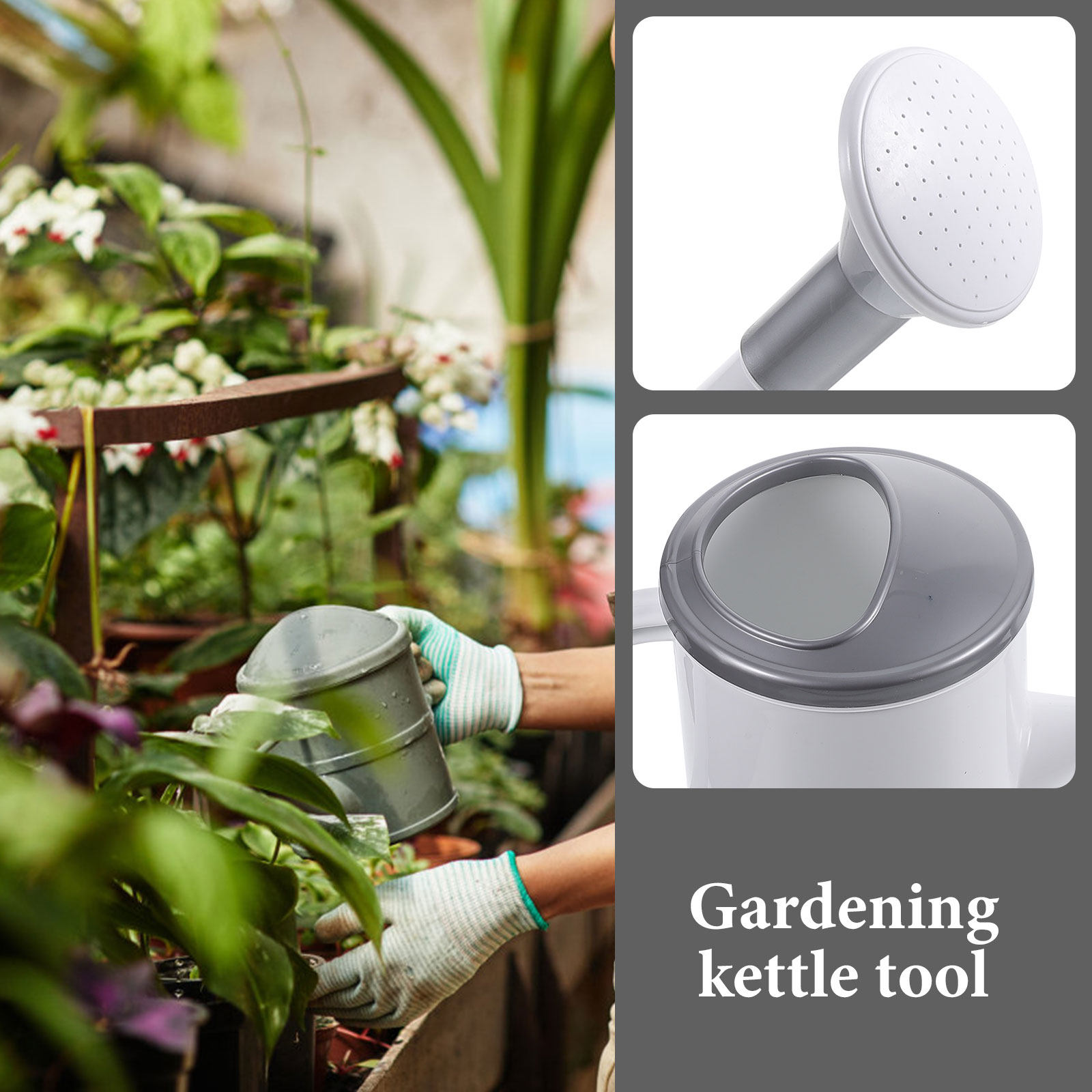 Household Watering Can Long Sp - Watering Can Long Spout 评论和价格