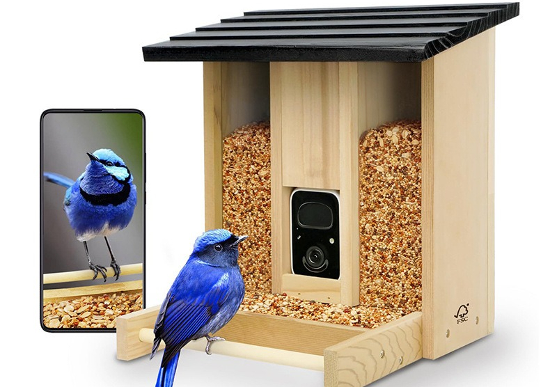 Bamboo wood intelligent bird f - Gardening Tools Definition 评论和价格